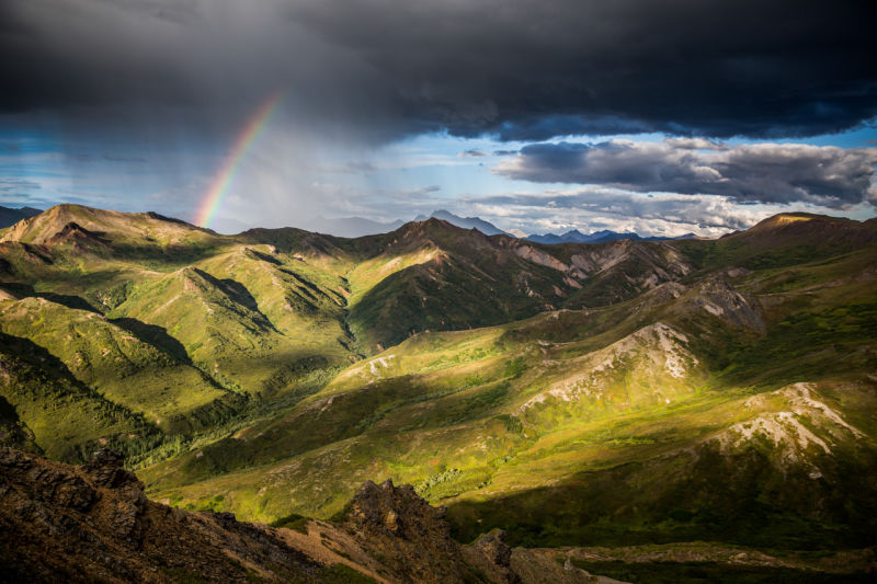 Photo via IndefinitelyWild